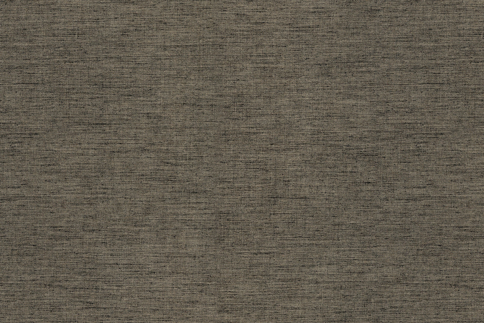 FD33-Alpaca