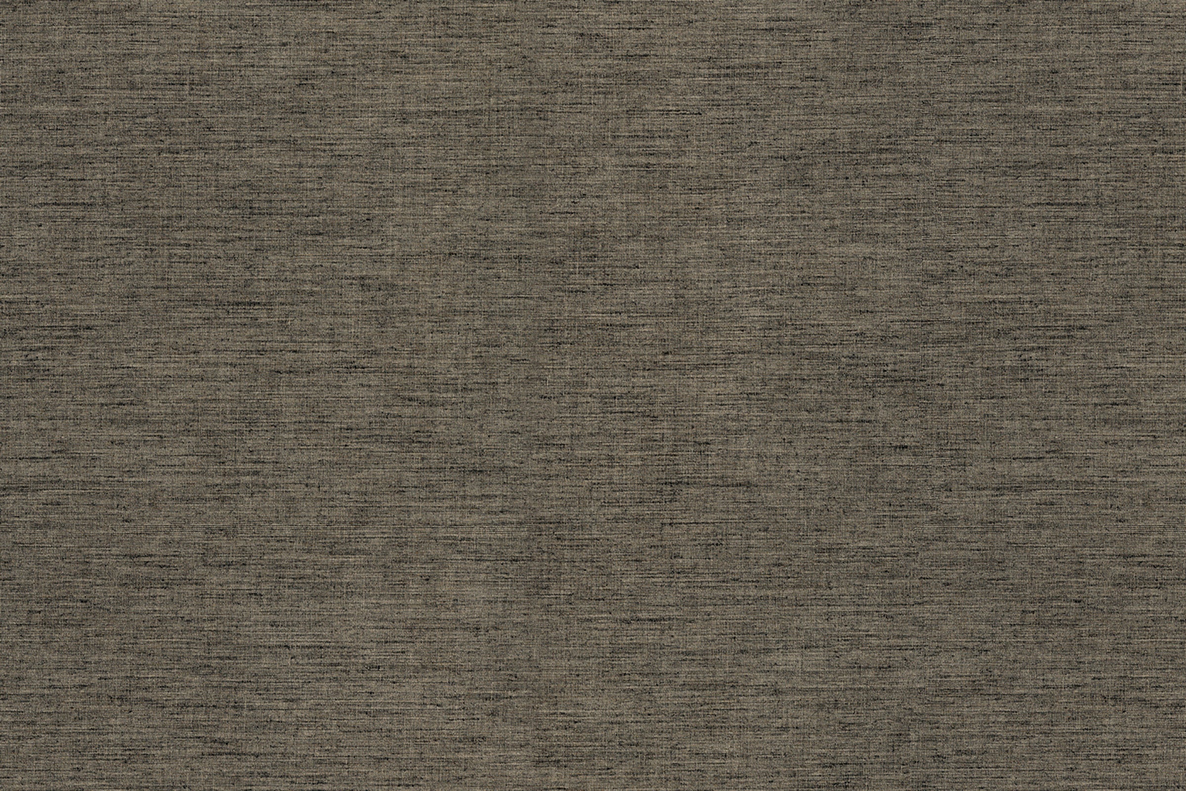 FD33-Alpaca