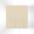 Closet Main Image (closed)