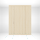 Closet Main Image (closed)