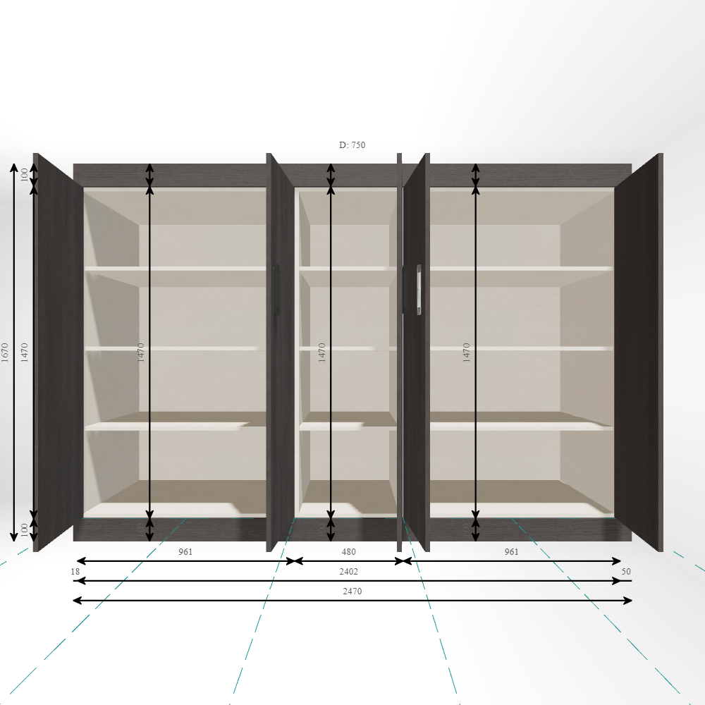 Closet Main Image (Open)