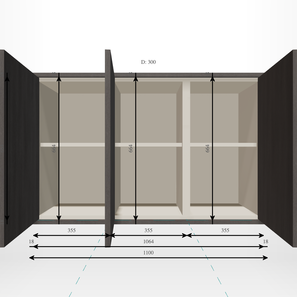 Closet Main Image (Open)