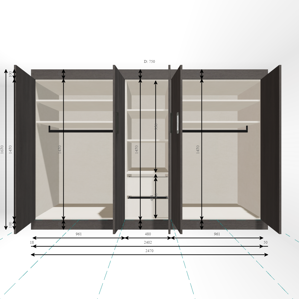 Closet Main Image (Open)